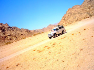 Wielkie safari (Abu Galum+Blue Hole+Dahab)
