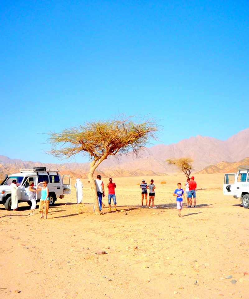 Wielkie safari (Abu Galum+Blue Hole+Dahab)