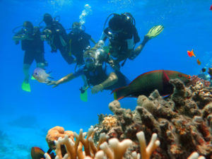 Wyspa Tiran (nurkowanie dla amatorów)