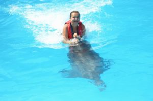 Pływanie z delfinami Sharm El Shiekh